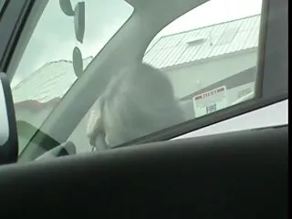 性交阳光明媚的利昂ka印地文年轻的bf附近的游泳池闪烁