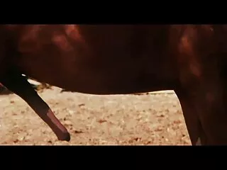 提示和印地文性感的印度视频公共裸体然后他